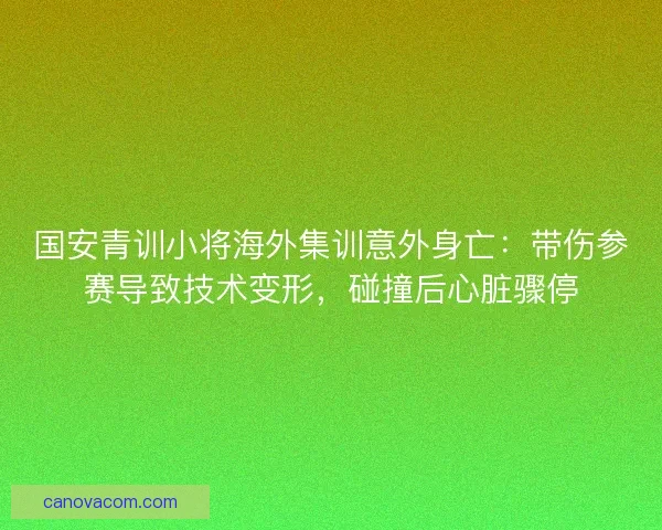 国安青训小将海外集训意外身亡：带伤参赛导致技术变形，碰撞后心脏骤停